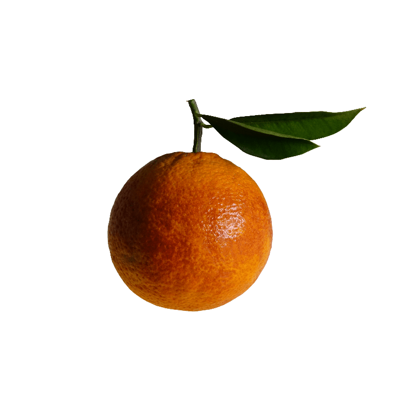 Arancia Tarocco Bio