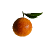 Arancia Tarocco Bio